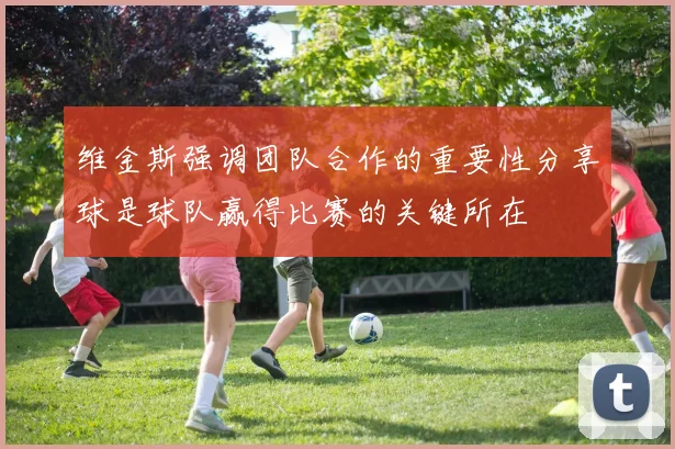 维金斯强调团队合作的重要性分享球是球队赢得比赛的关键所在