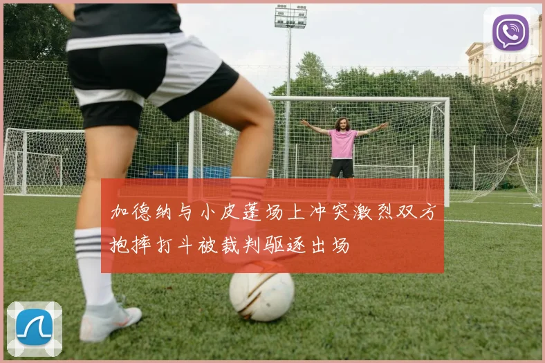 加德纳与小皮蓬场上冲突激烈双方抱摔打斗被裁判驱逐出场