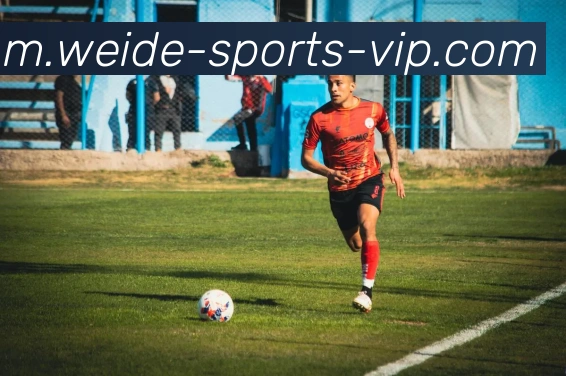 伟德体育品牌故事