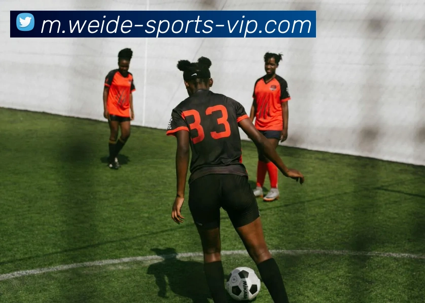 伟德体育服务体系